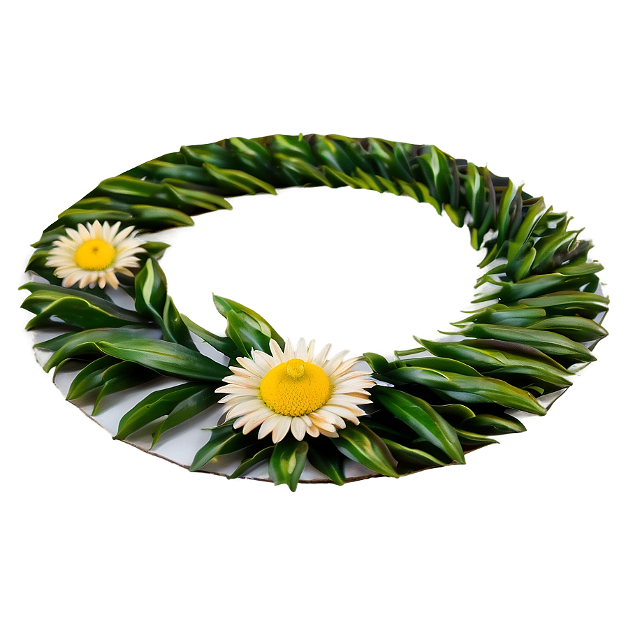 Daisy Circle Png 06252024 PNG Image