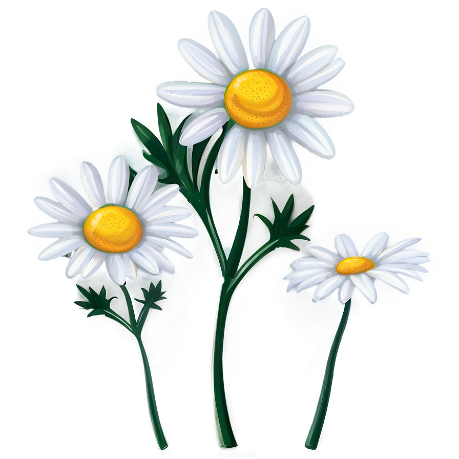 Daisy Illustration Png 16 PNG Image