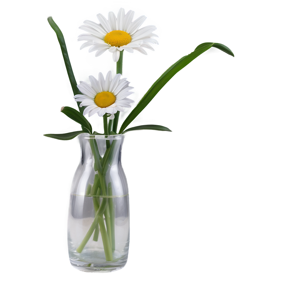 Daisy In Vase Png Moh PNG Image