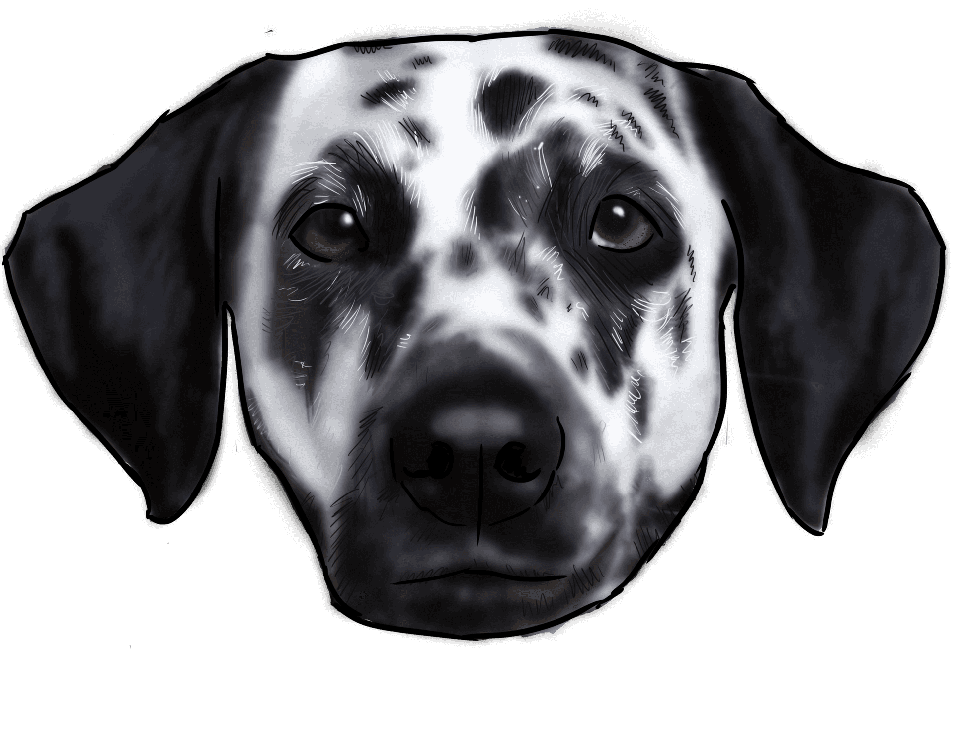 Dalmatian Dog Face Illustration PNG Image