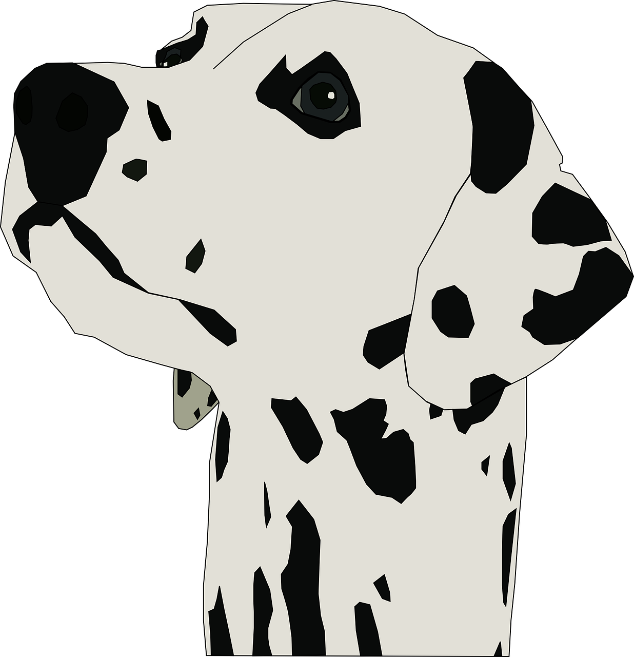 Dalmatian Dog Illustration PNG Image