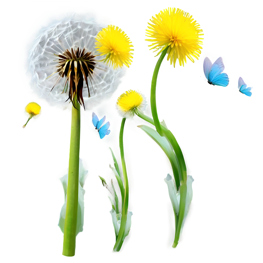 Dandelion Flight Png Phk87 PNG Image