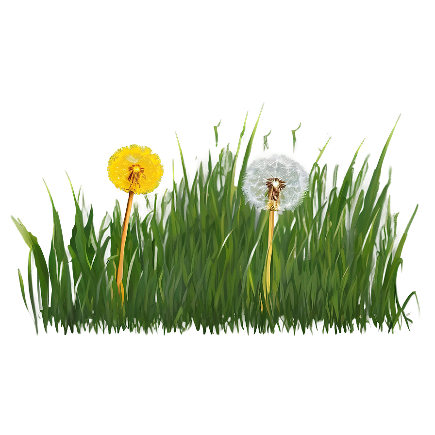 Dandelion In Grass Png 4 PNG Image