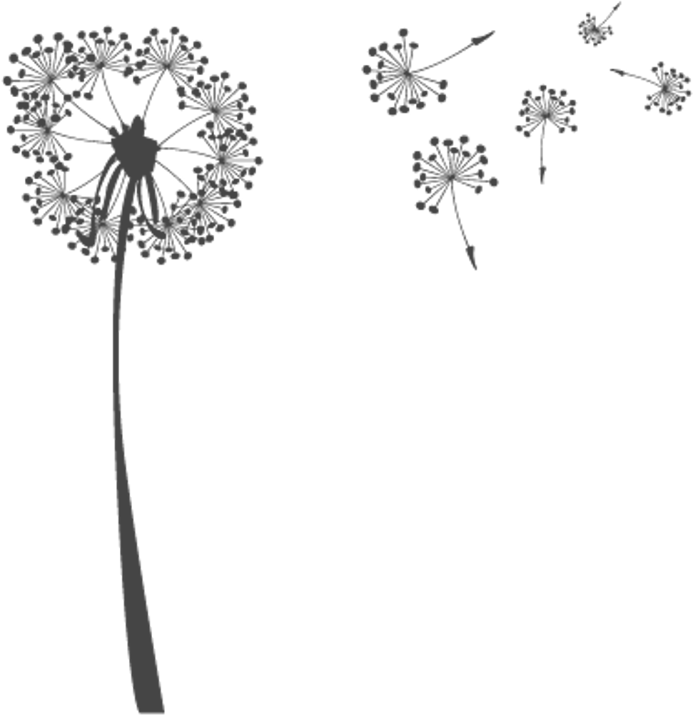 Dandelion Seeds Blowing In Wind PNG Image