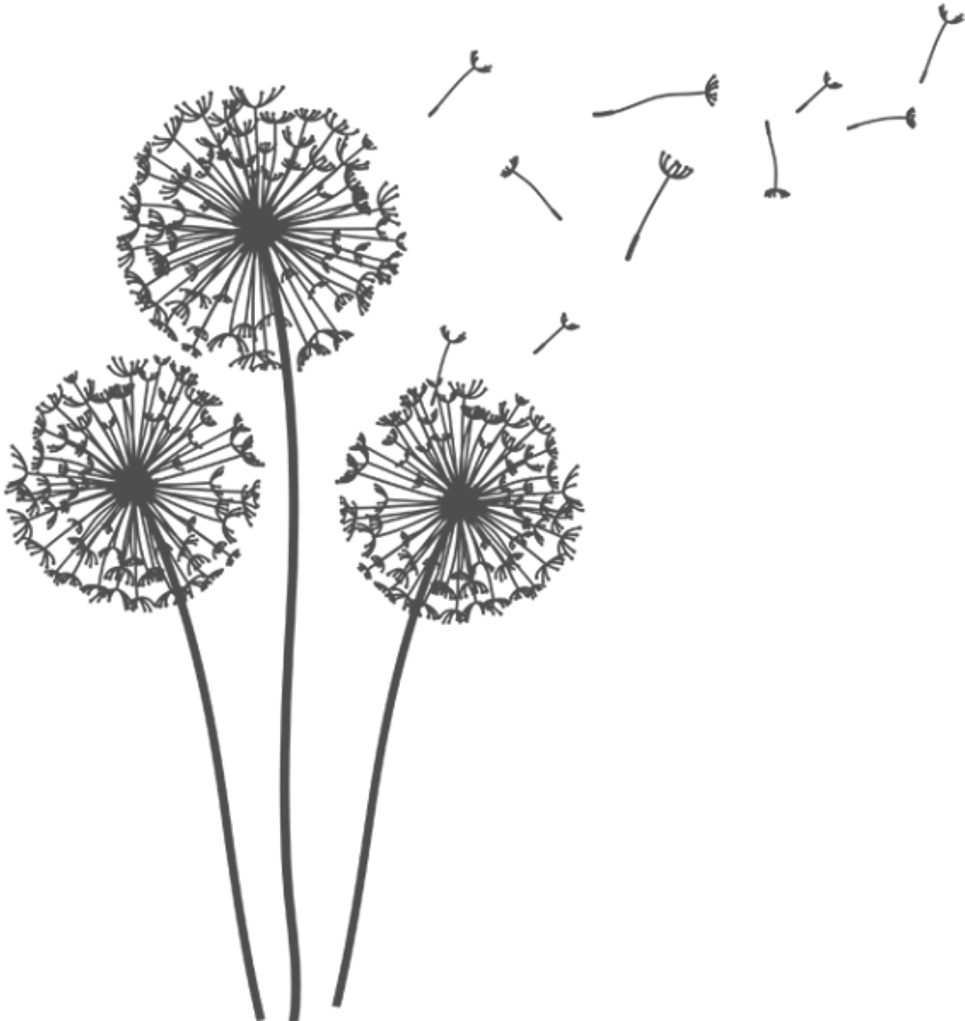 Dandelion_ Silhouettes_ Blowing_in_ Wind.png PNG Image