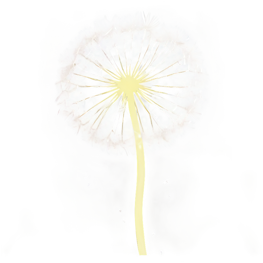 Dandelion Wishes Png Pqp PNG Image