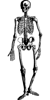 Dark Blank Canvas PNG Image