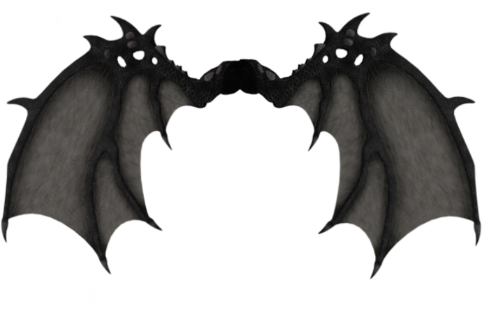 Dark Demon Wings PNG Image