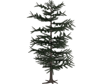 Dark Fir Tree Silhouette PNG Image