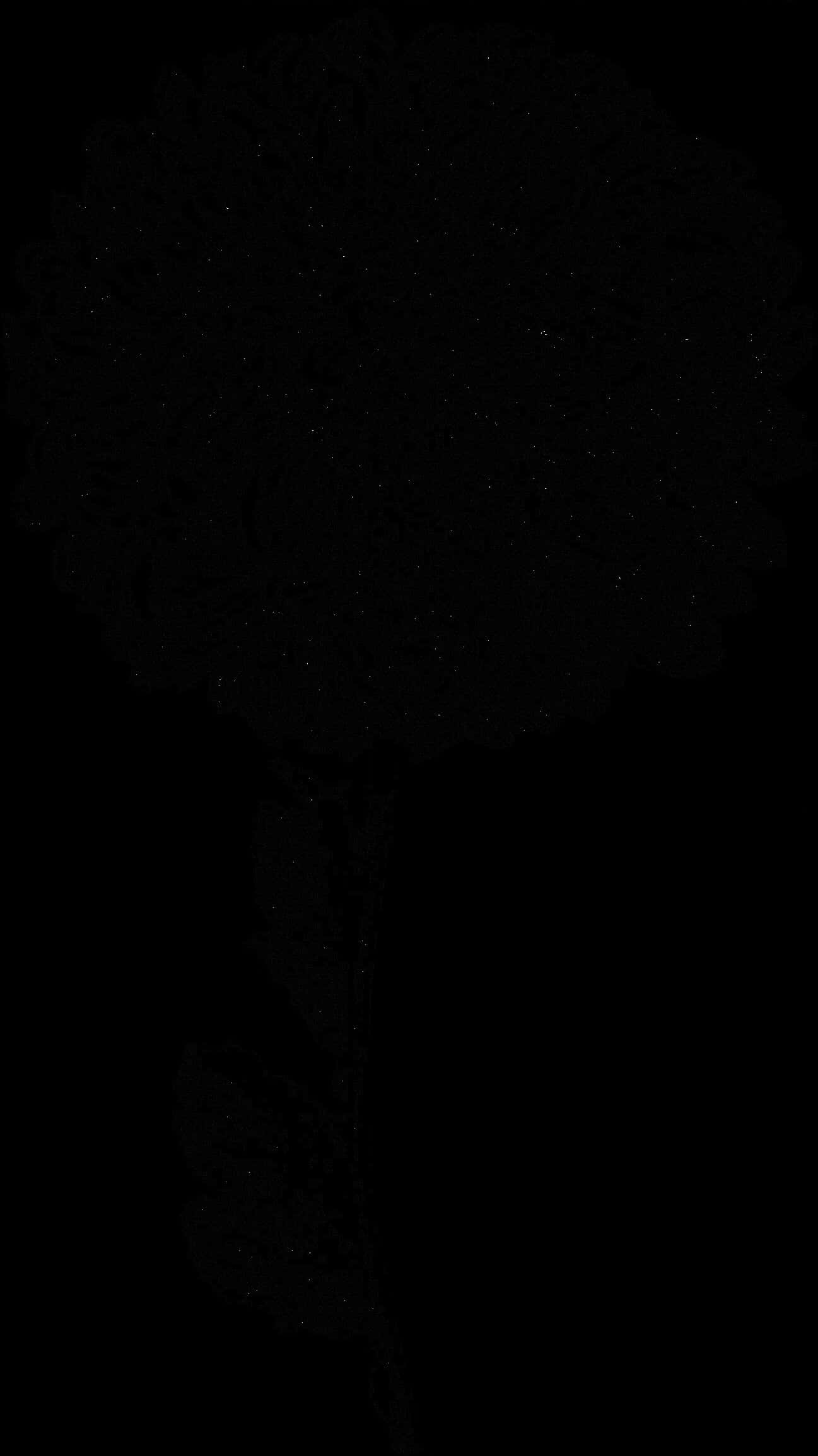 Dark Floral Silhouette PNG Image