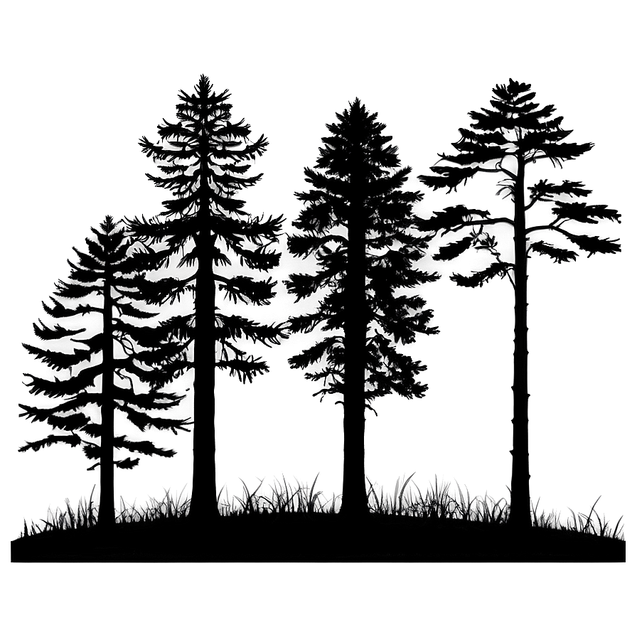 Dark Forest Silhouette Png Kaw39 PNG Image