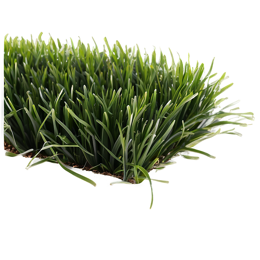 Dark Green Grass Png 06262024 PNG Image