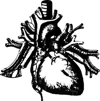 Dark Heart Shaped Tree Under Night Sky PNG Image