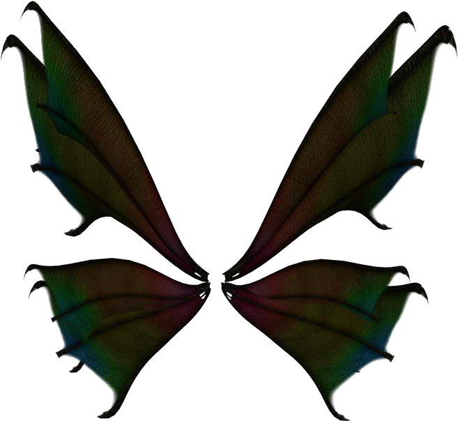 Dark Mystical Butterfly Wings PNG Image