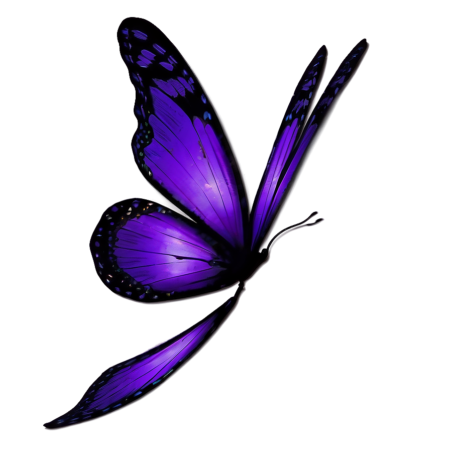 Dark Purple Butterfly Png 05232024 PNG Image