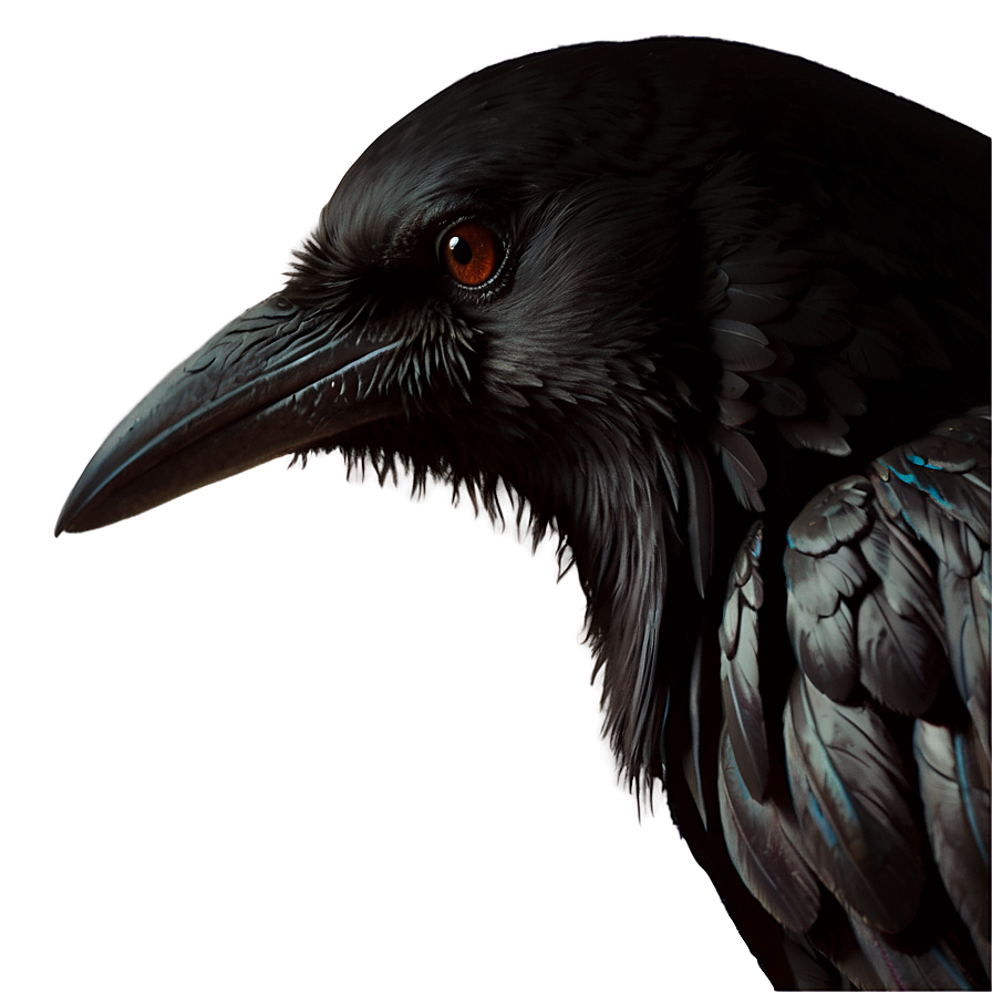 Dark Raven Png Bxm58 PNG Image