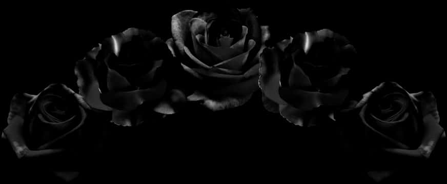 Dark Roses Elegance PNG Image