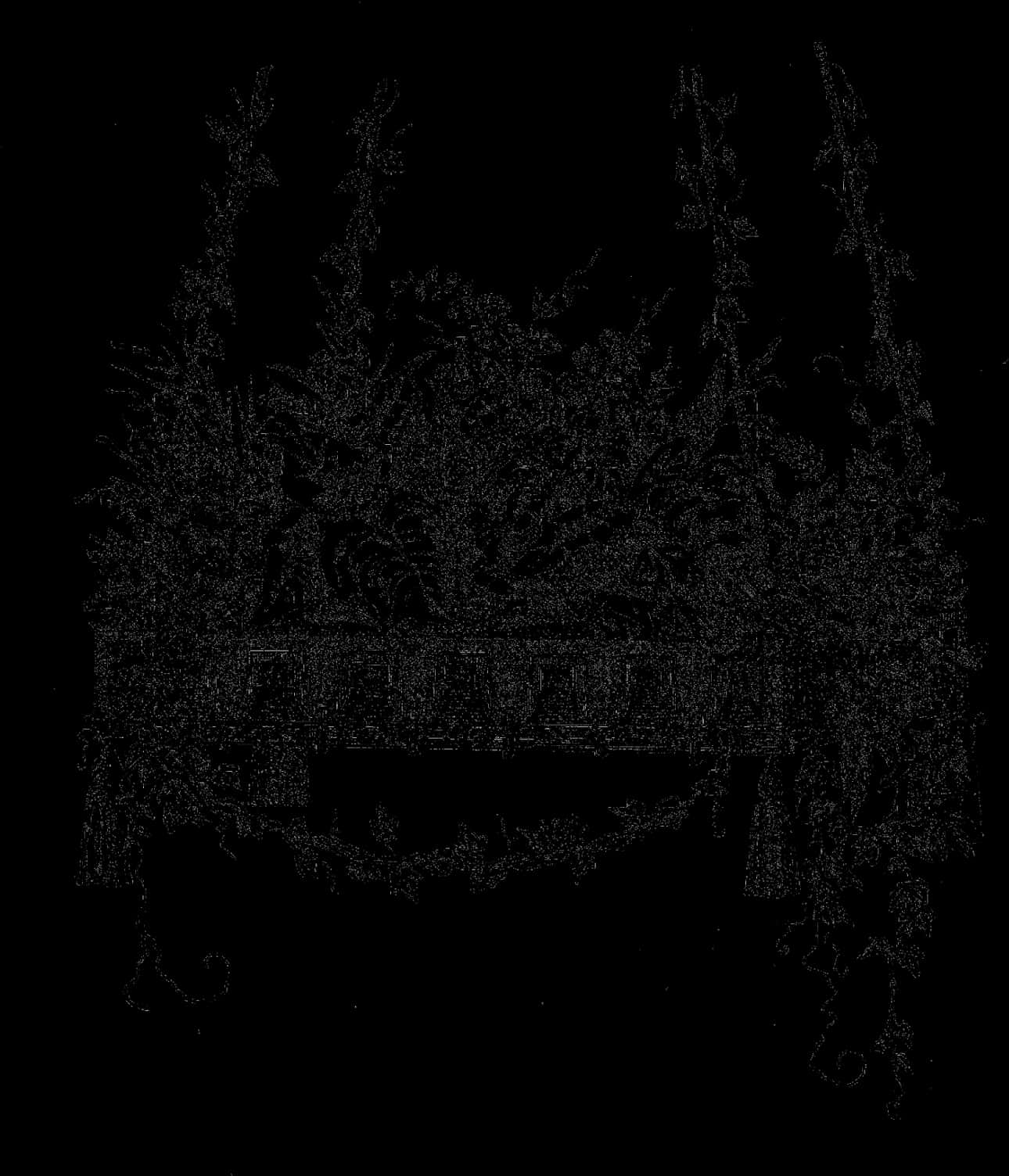 Dark Silhouette Hanging Plants PNG Image