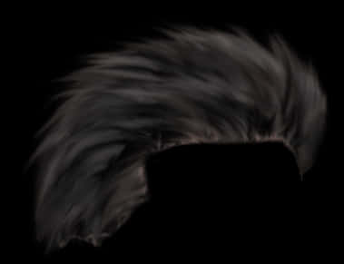 Dark_ Swept_ Hairstyle_ P N G PNG Image