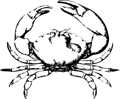 Darkened Image Possible Cursor PNG Image