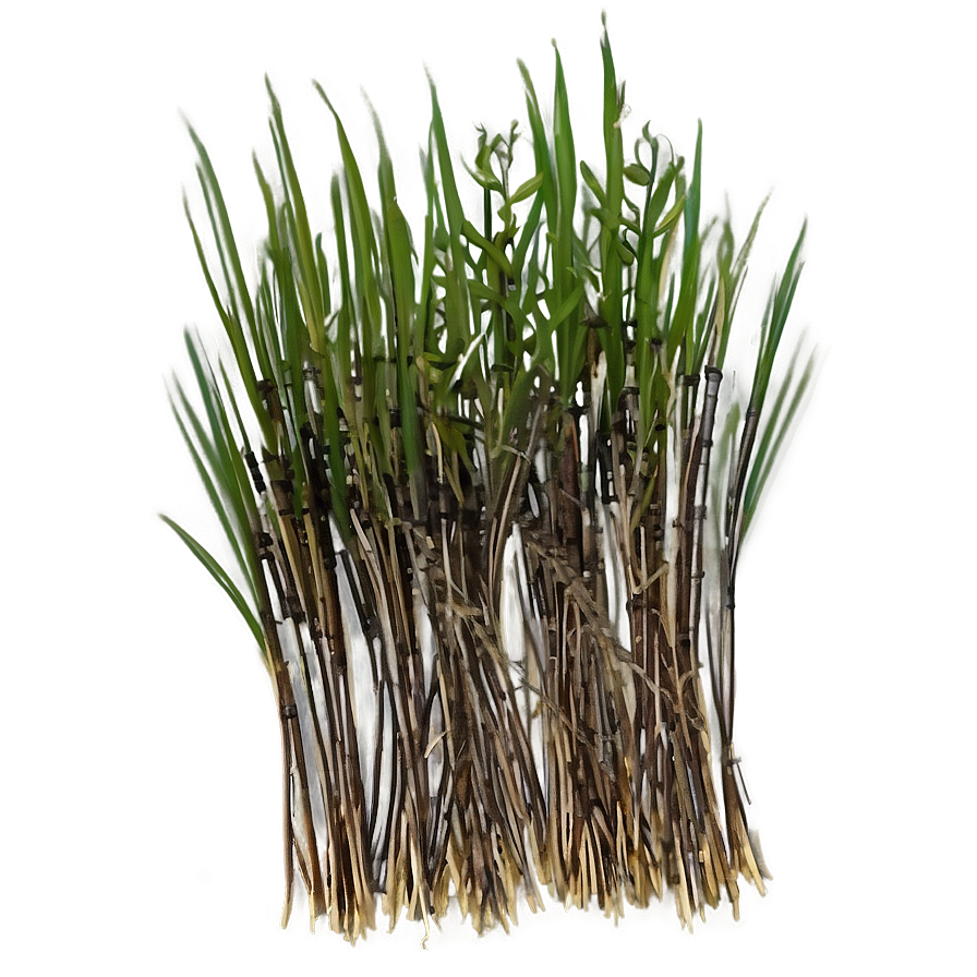 Dead Grass Bundle Png 06282024 PNG Image