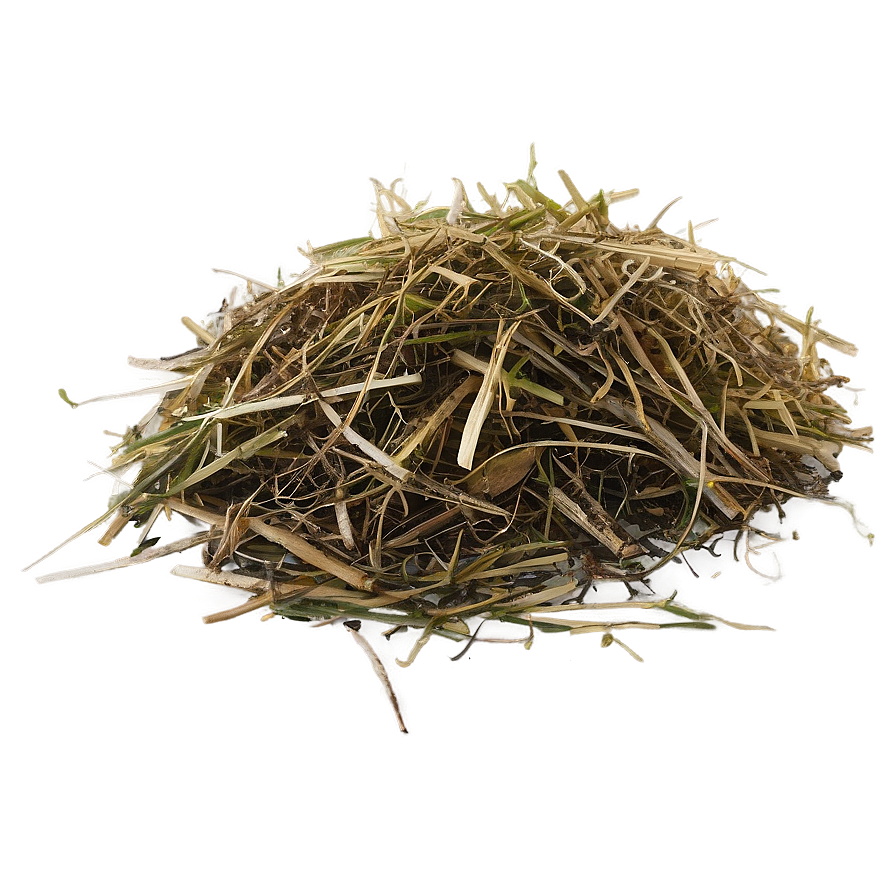 Dead Grass Clippings Png Fcq22 PNG Image