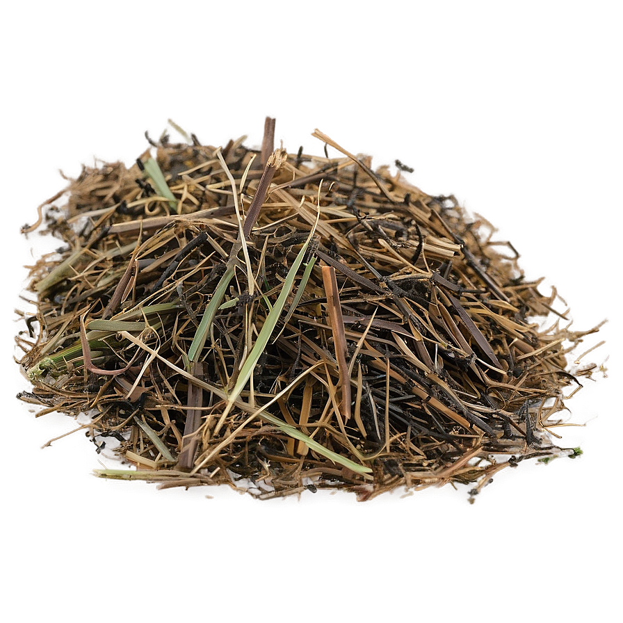 Dead Grass Clippings Png Rms53 PNG Image