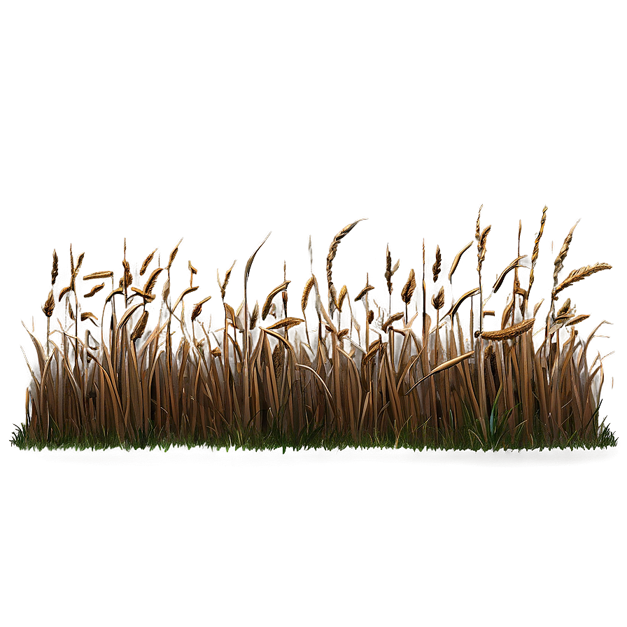 Dead Grass Field Border Png Smq92 PNG Image