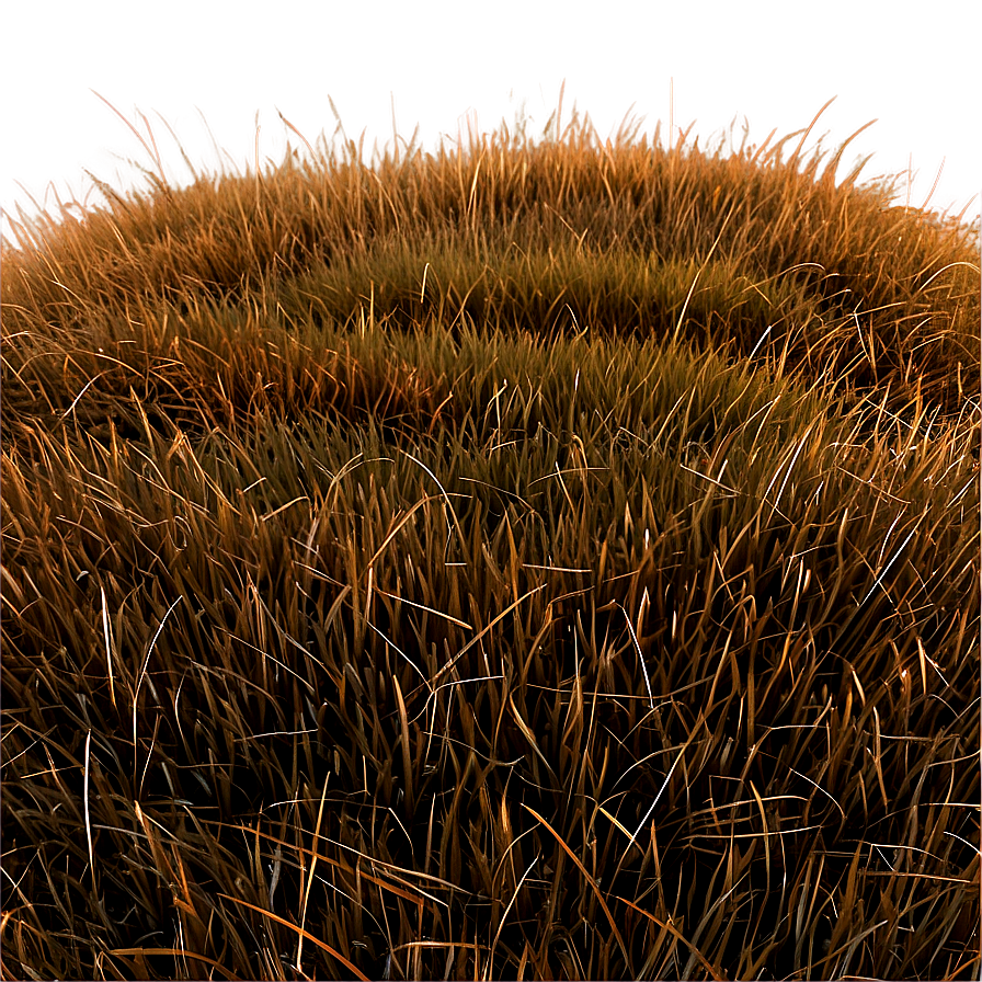 Dead Grass Hill Png 44 PNG Image