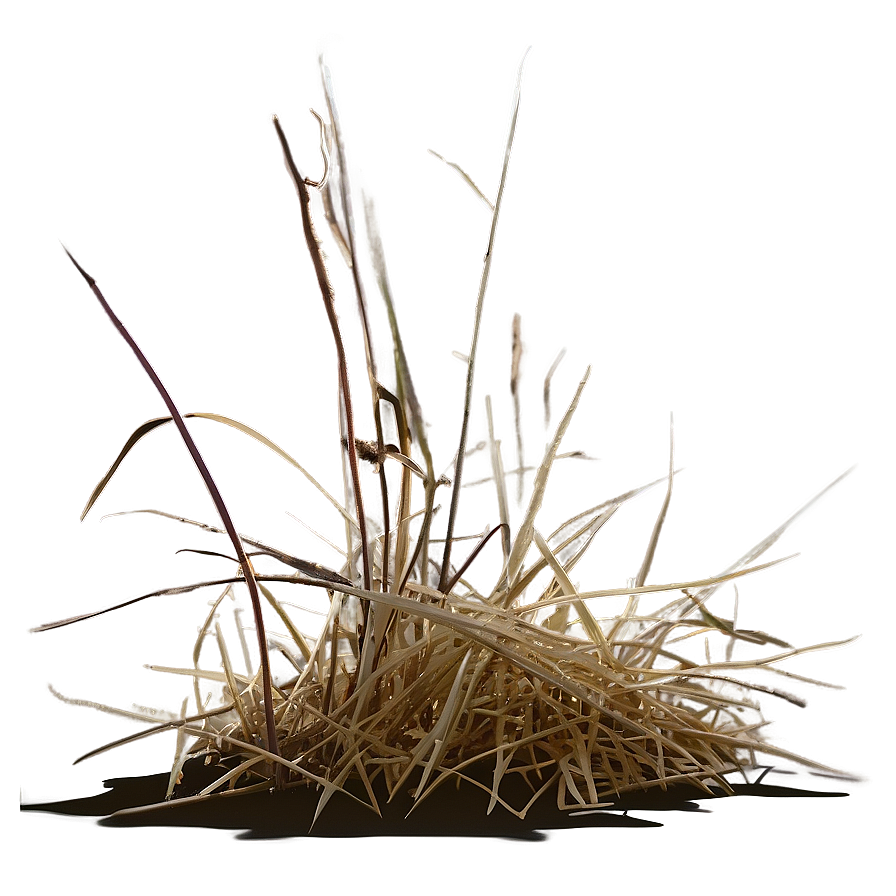 Dead Grass In Sunlight Png Pow77 PNG Image