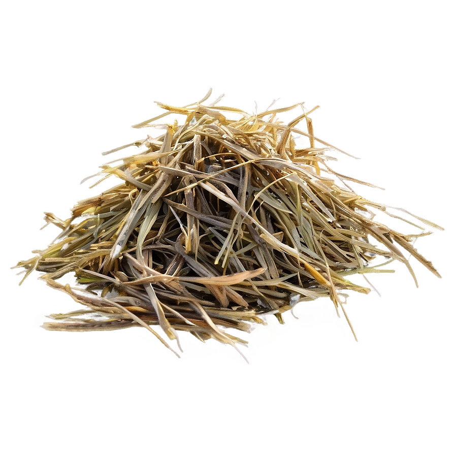 Dead Grass In The Morning Png 84 PNG Image