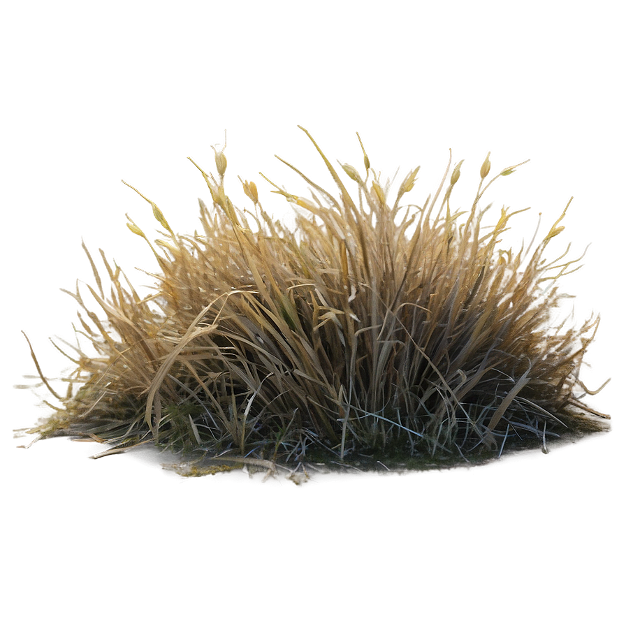 Dead Grass Matte Png 47 PNG Image