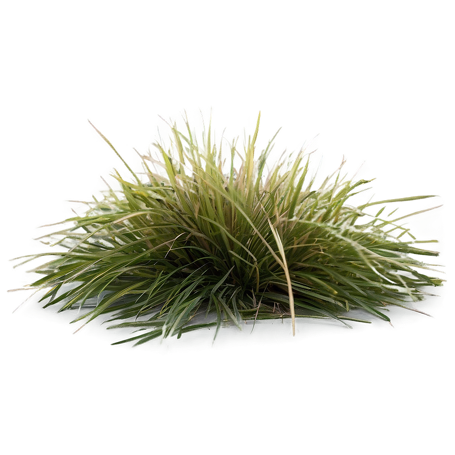 Dead Grass Matte Png Bnd PNG Image