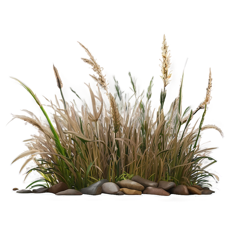 Dead Grass Pattern Png 06282024 PNG Image