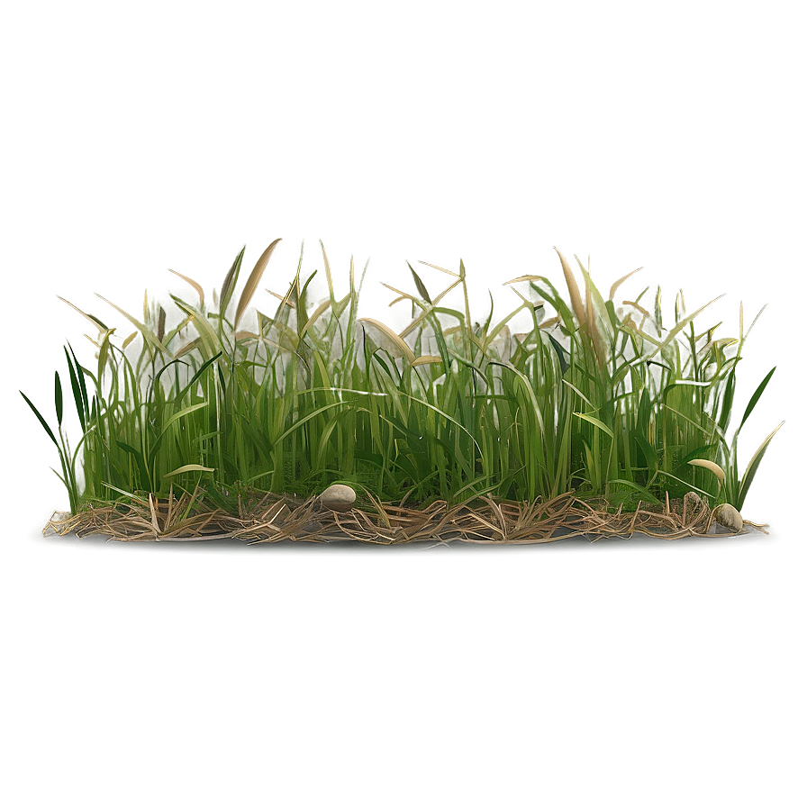 Dead Grass Sward Png 06282024 PNG Image