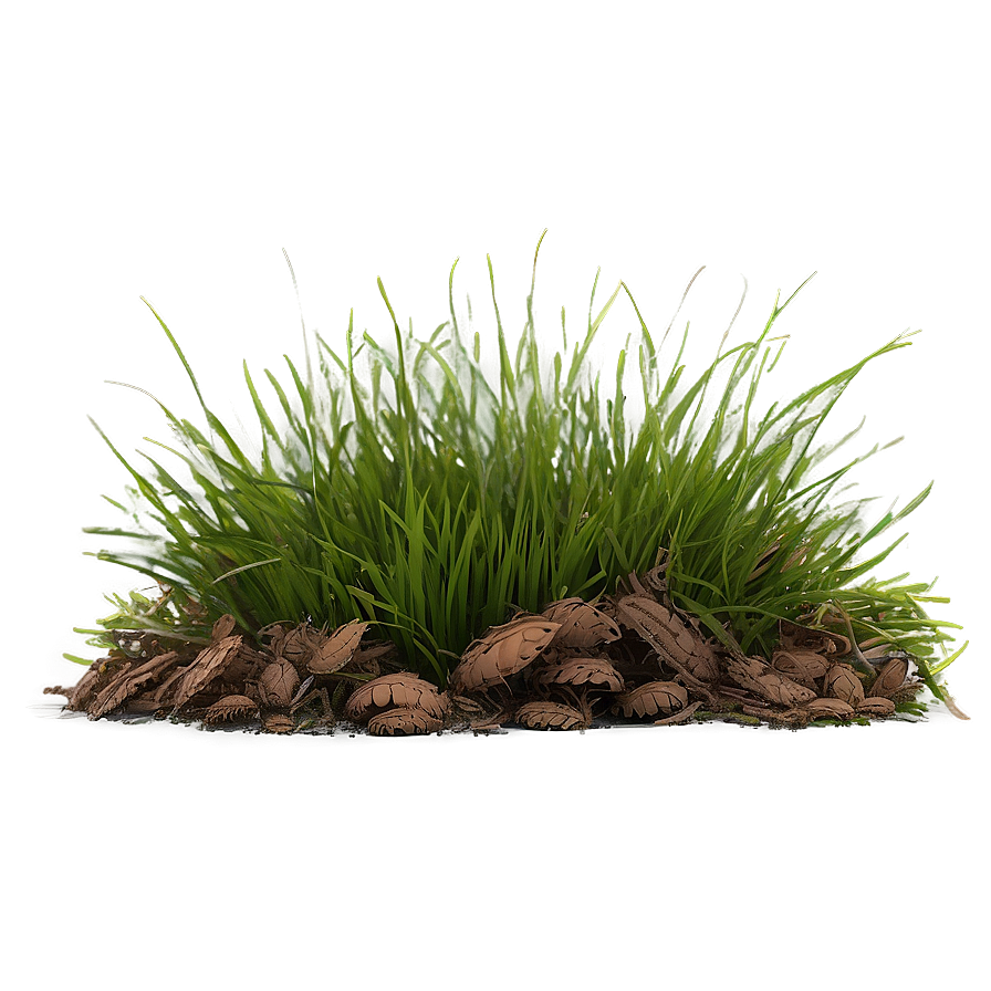 Dead Grass Tuft Png Kce PNG Image