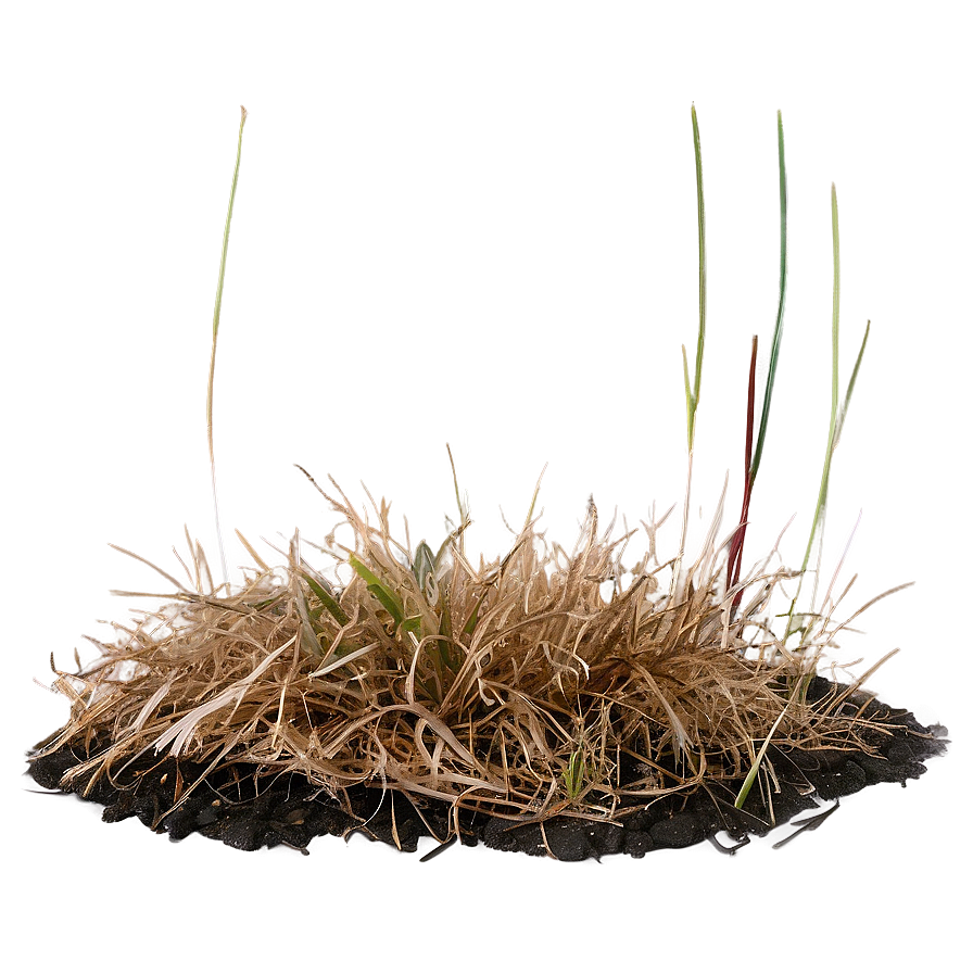 Dead Grass Underfoot Png Ght62 PNG Image