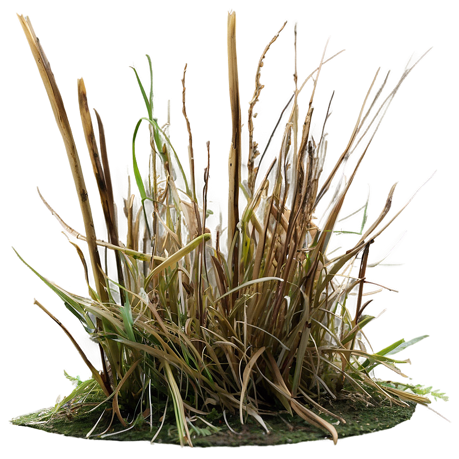 Dead Grass Underfoot Png Sov35 PNG Image