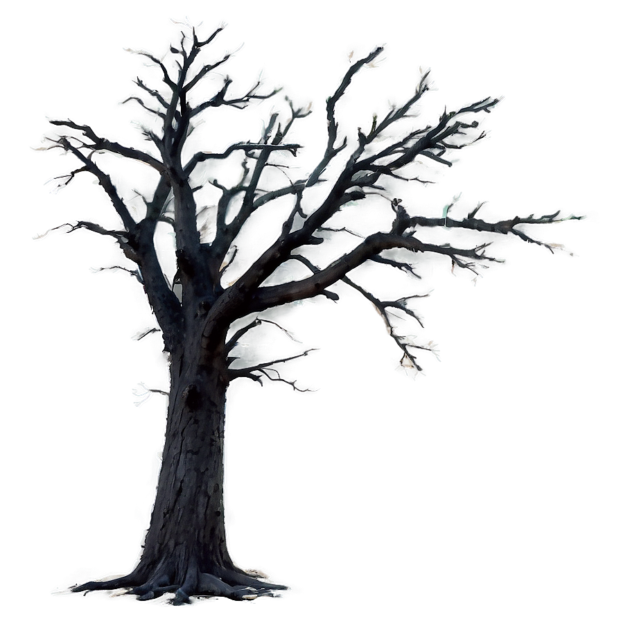 Dead Tree And Fog Png Ovd PNG Image