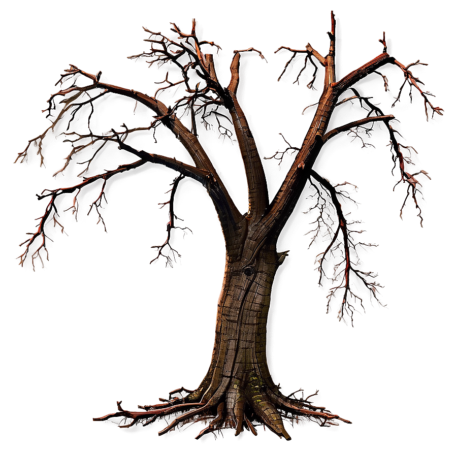 Dead Tree No Leaves Png 4 PNG Image