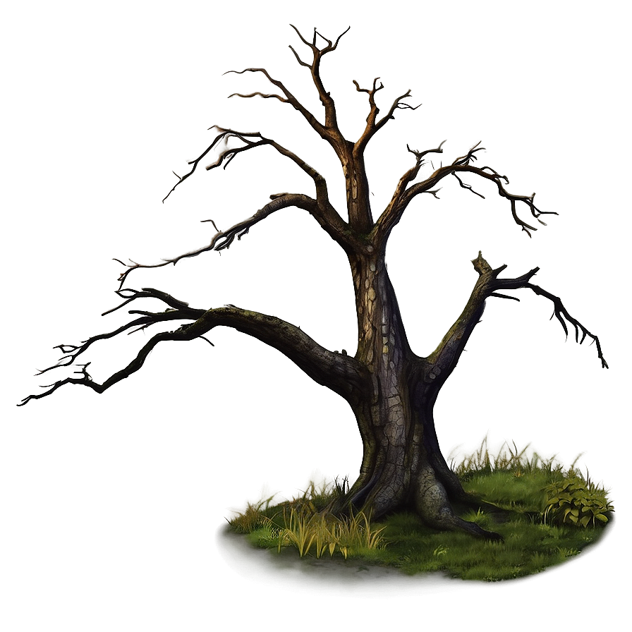 Dead Tree On Hill Png 05252024 PNG Image