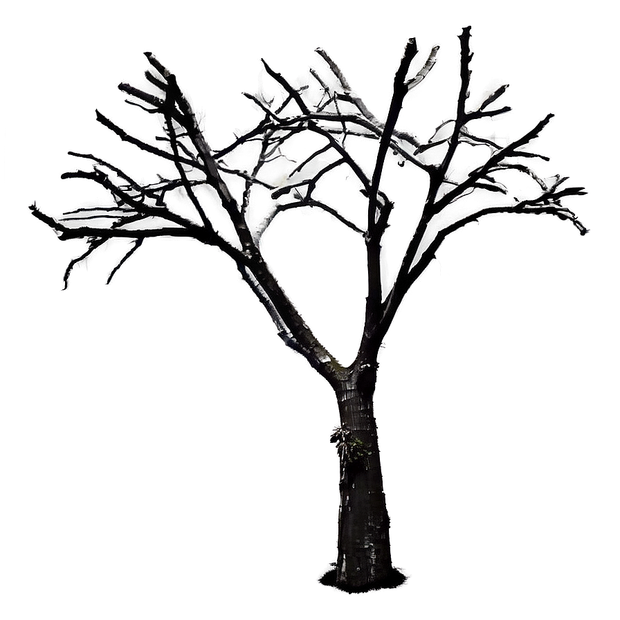 Dead Tree Photography Png 96 PNG Image