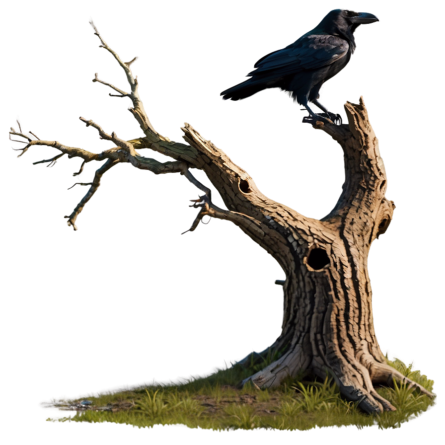 Dead Tree With Raven Png 05252024 PNG Image