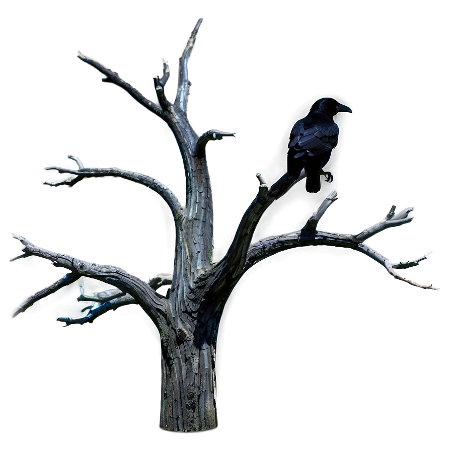 Dead Tree With Raven Png 53 PNG Image