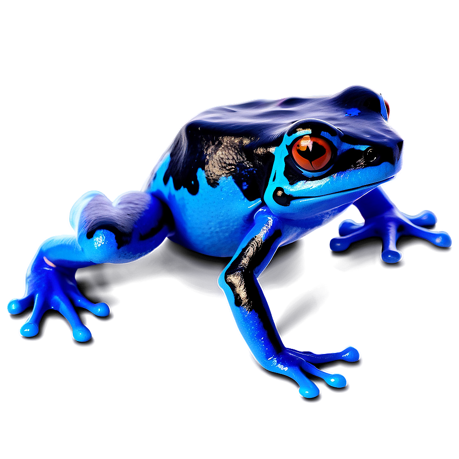 Deadly Poison Dart Frog Png 74 PNG Image