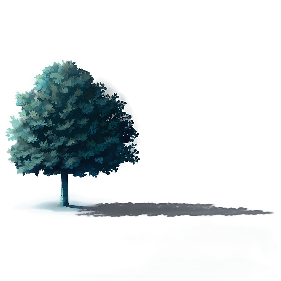 Deciduous Tree Shadow Png Wju PNG Image