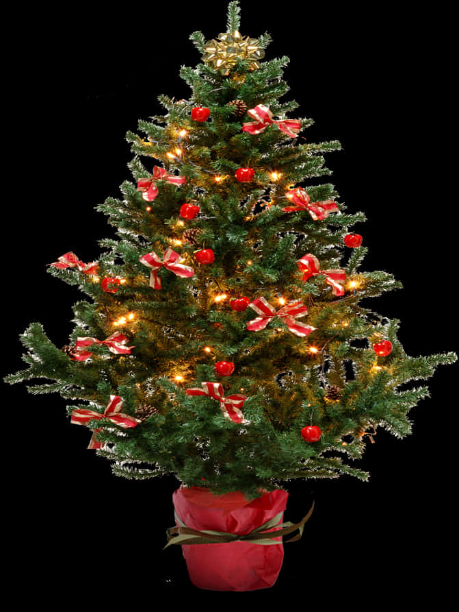 Decorated Christmas Treewith Lights PNG Image