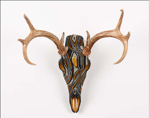 Decorative Deer Skullwith Antlers PNG Image