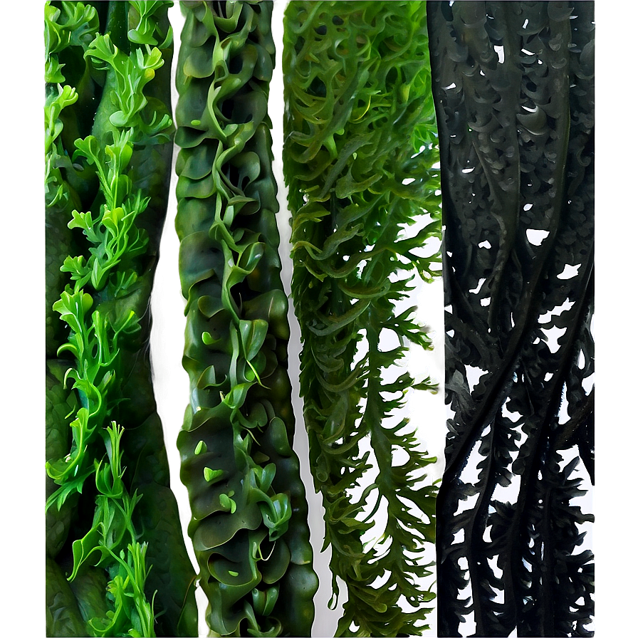 Deep Sea Seaweed Png 05242024 PNG Image