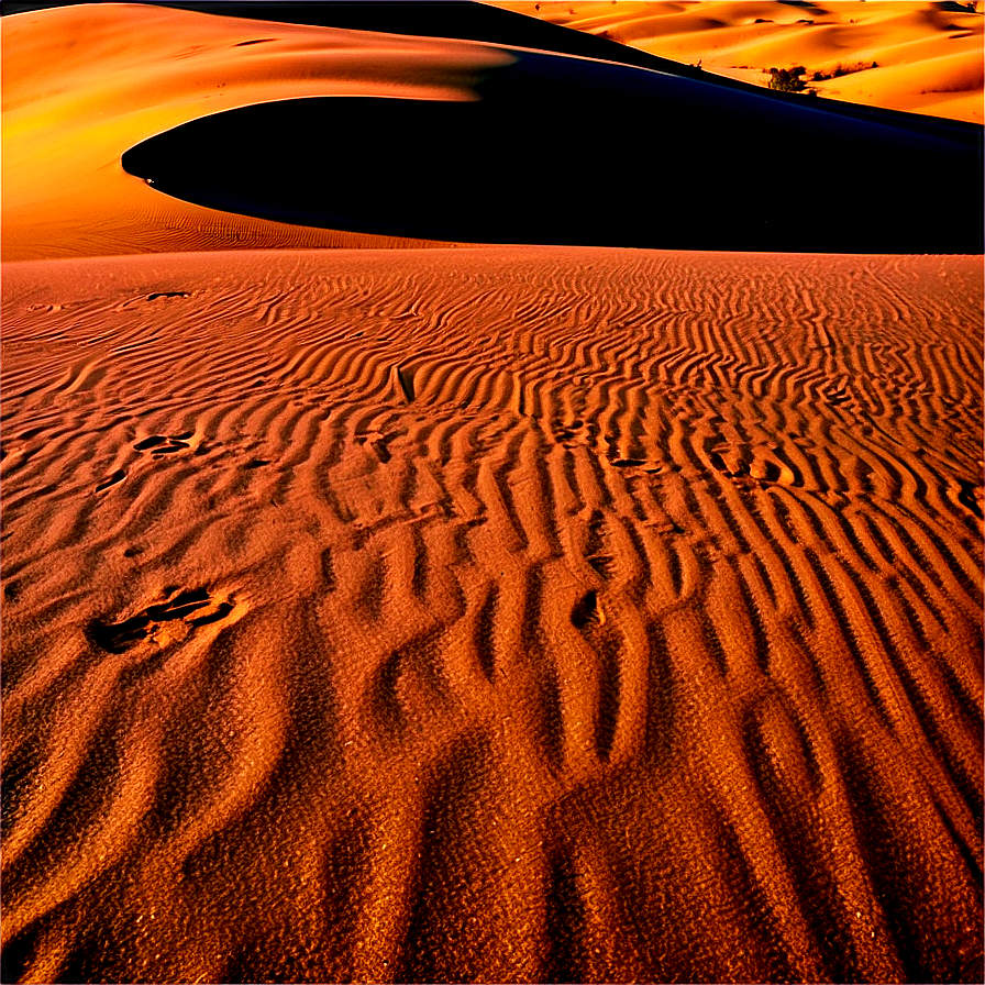 Delaware Sand Dunes Png Qbu PNG Image